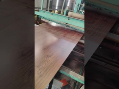 Printech Farbbeschichtete Spirale